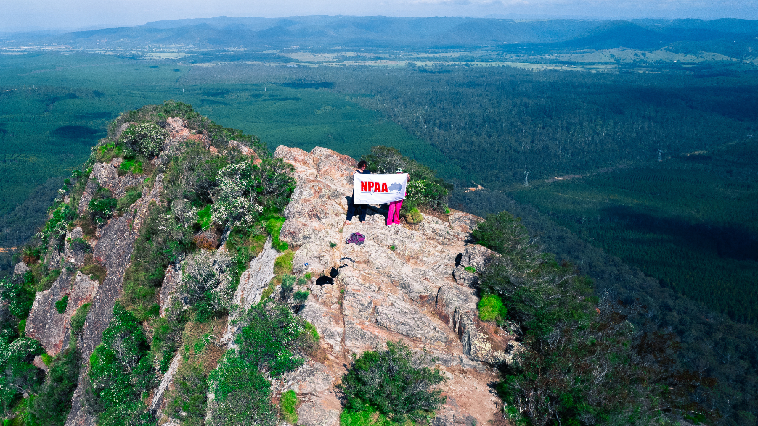 Breaking the Monopoly: QNCH Fighting for Nurses' Right to Choose with NPAQ Support